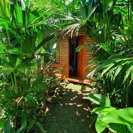 Arenal Rustic Lodge Алахуэла Экстерьер фото