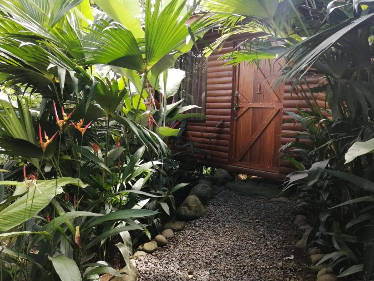 Arenal Rustic Lodge Алахуэла Экстерьер фото