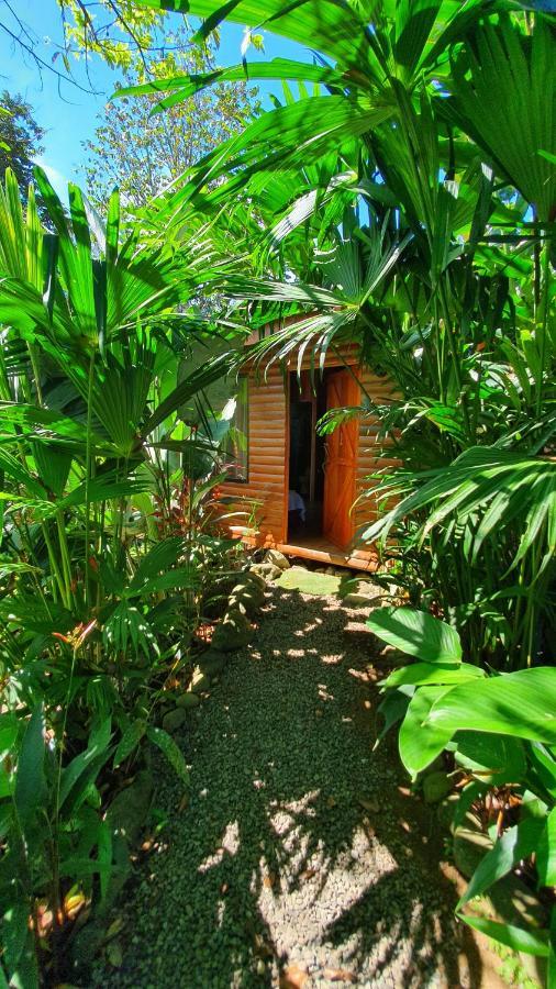 Arenal Rustic Lodge Алахуэла Экстерьер фото