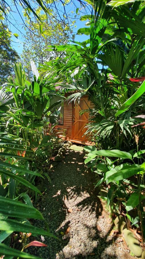 Arenal Rustic Lodge Алахуэла Экстерьер фото