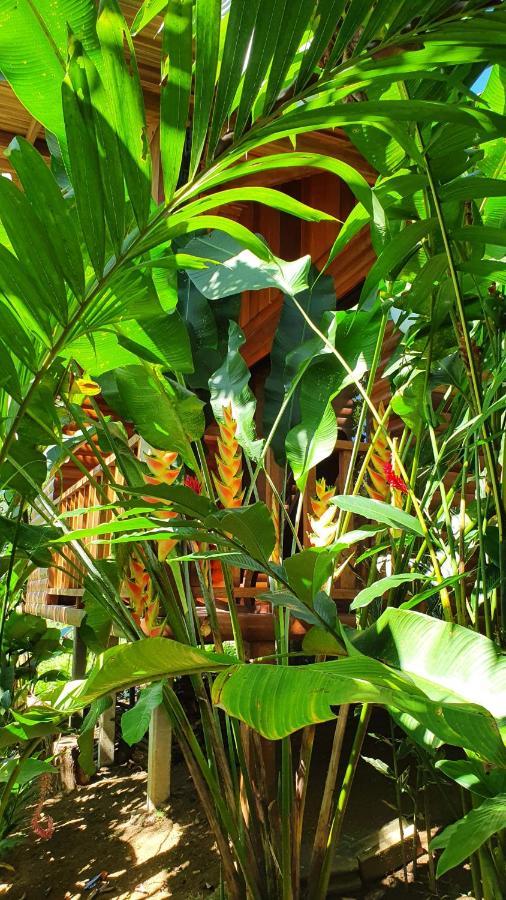 Arenal Rustic Lodge Алахуэла Экстерьер фото