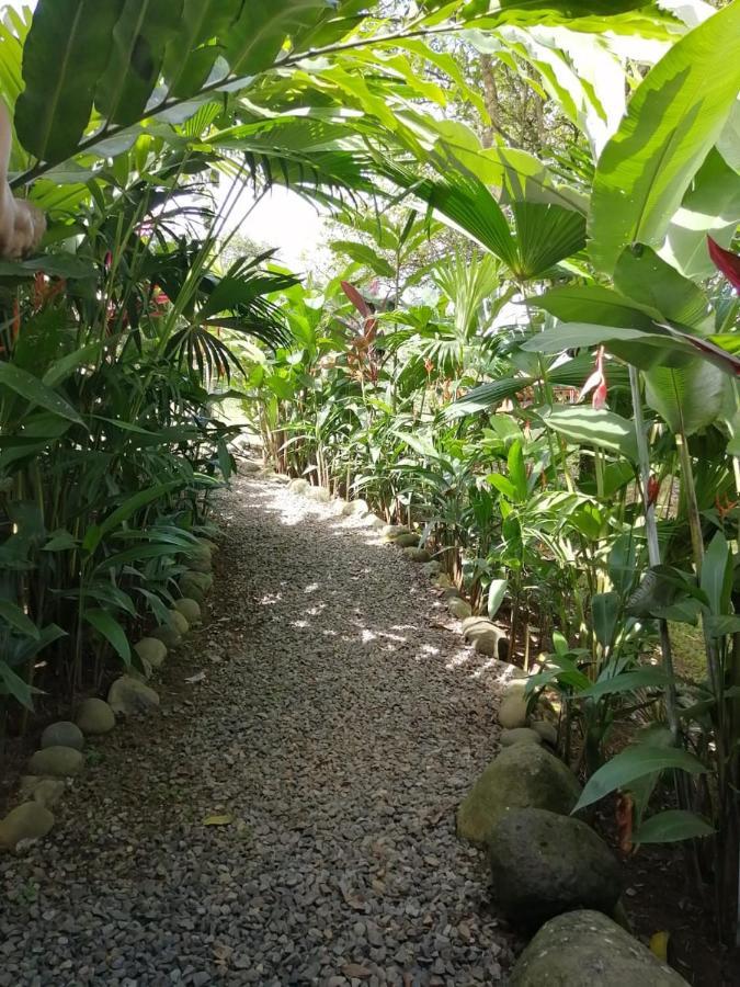Arenal Rustic Lodge Алахуэла Экстерьер фото